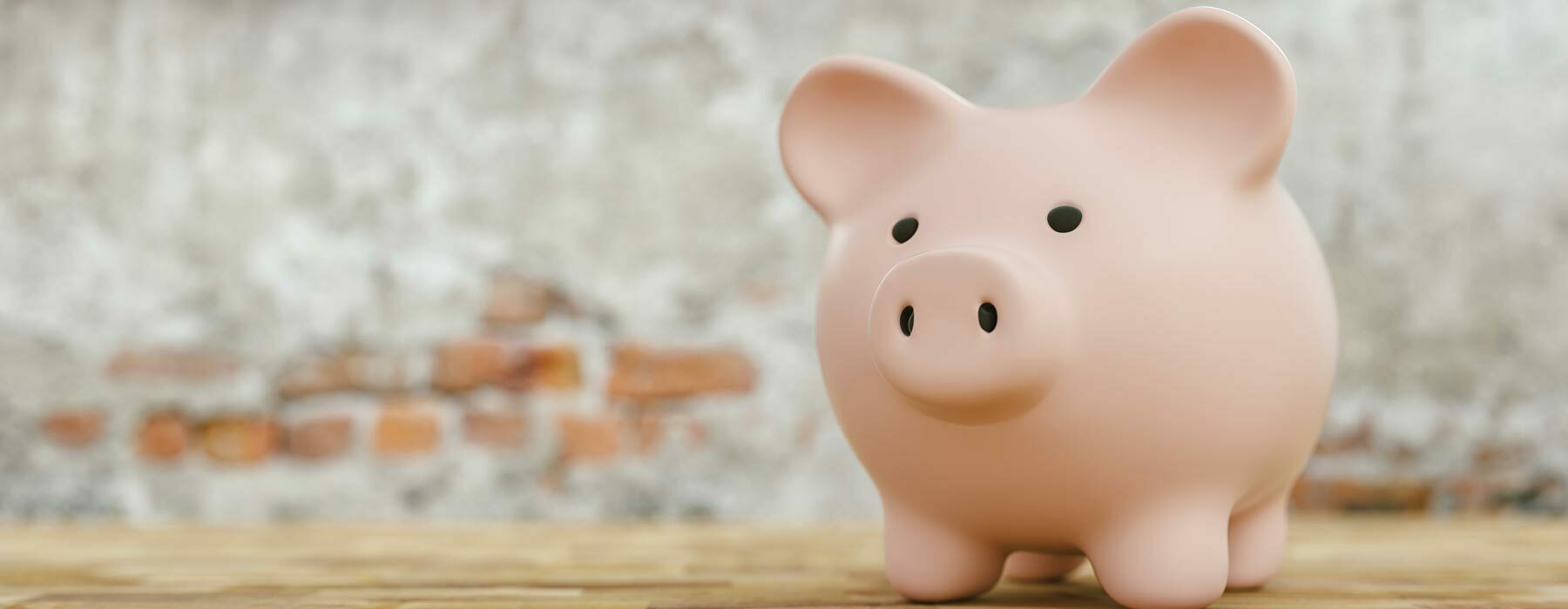 Course costs banner Piggy bank in front of brick wall