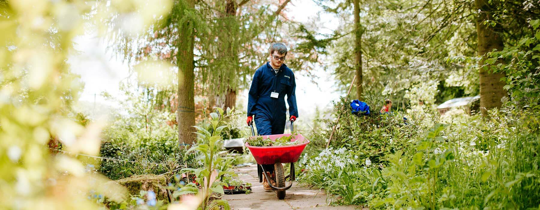 Horticulture student walking through gardens with wheelbarrow