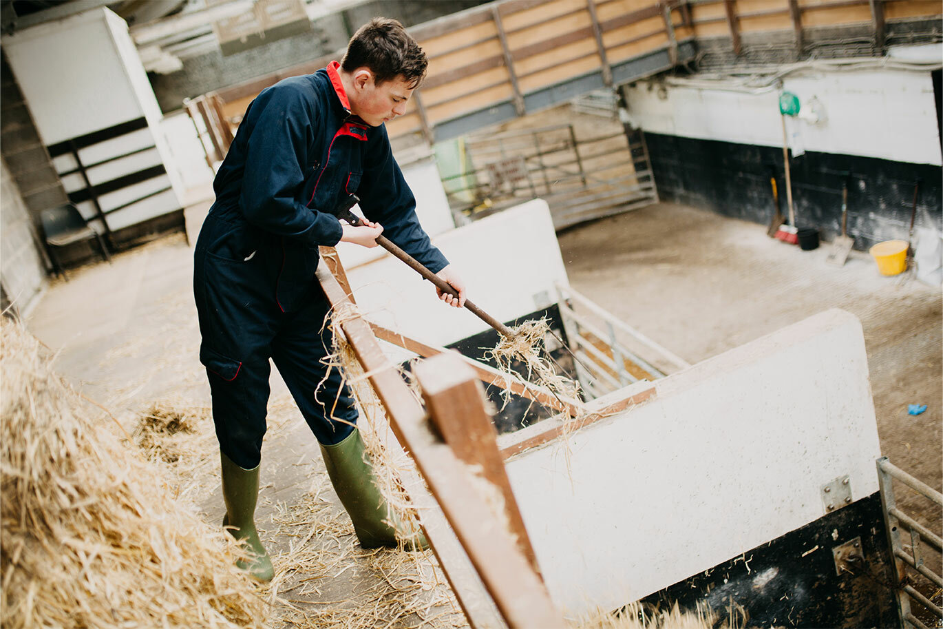 Agriculture student cleaning sheeps pen