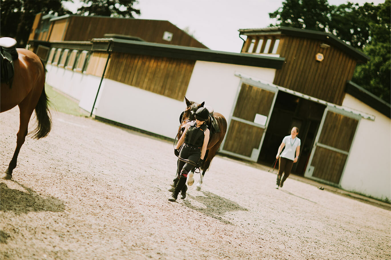 American style equine barn
