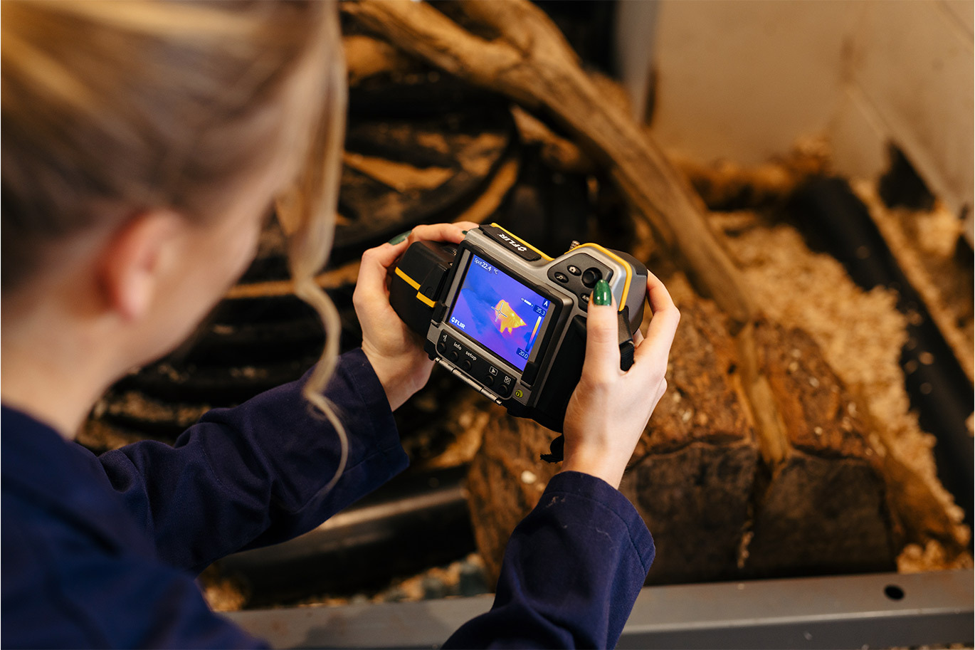 Animal Science student using thermal imagery camera