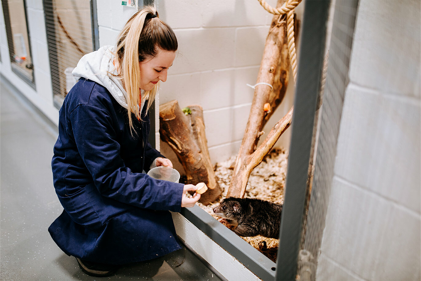 Animal student feeding cous cous