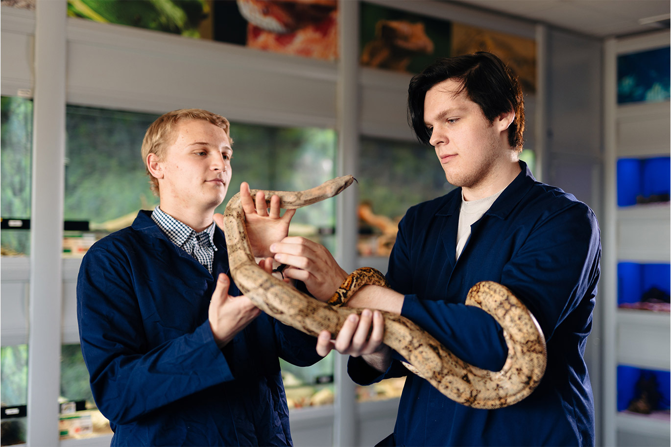 Animal students handling snake 2