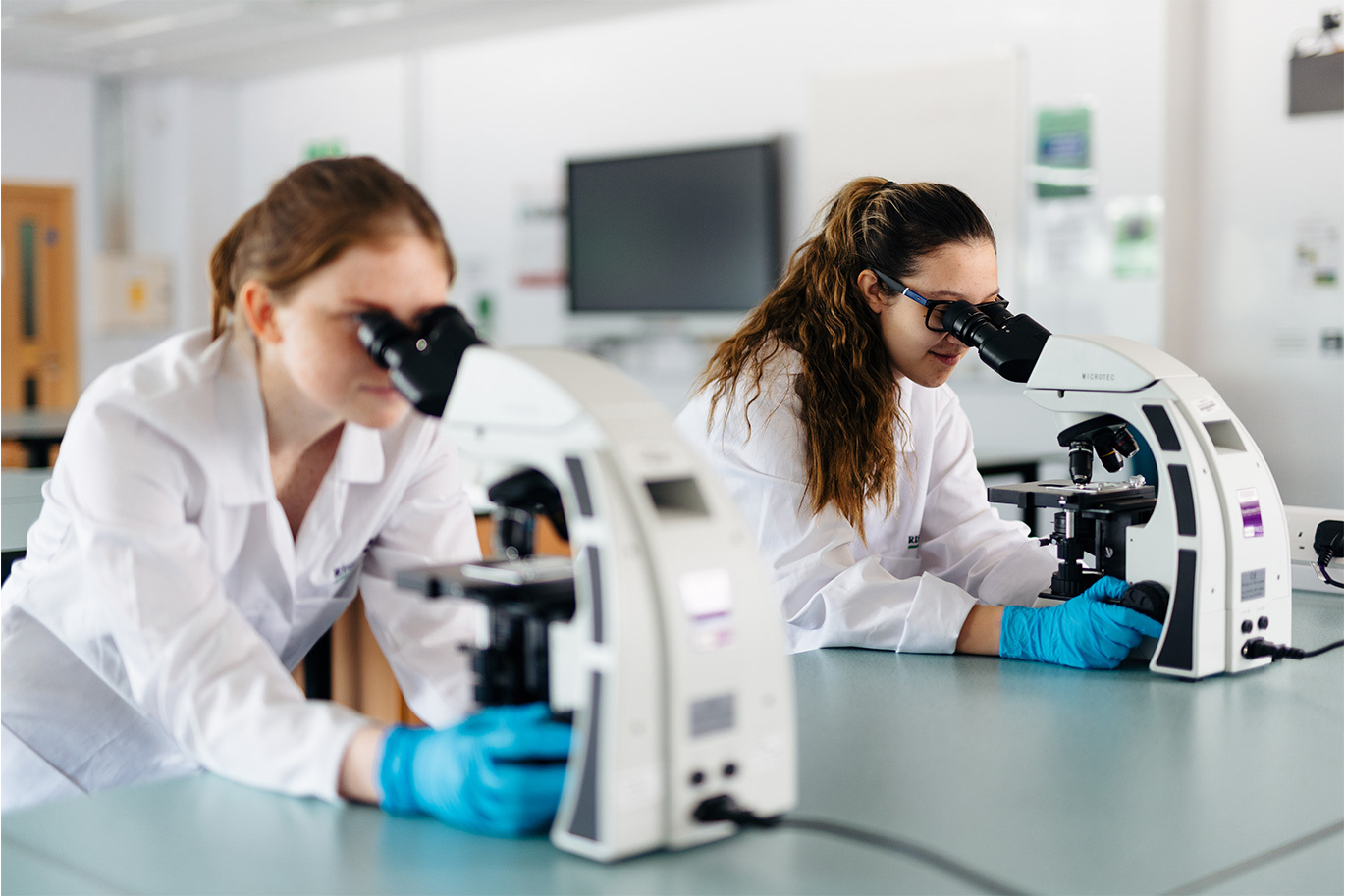Animal students looking through microscope