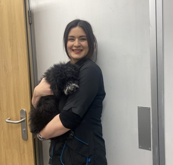 Molly Coleman - profile - student case study