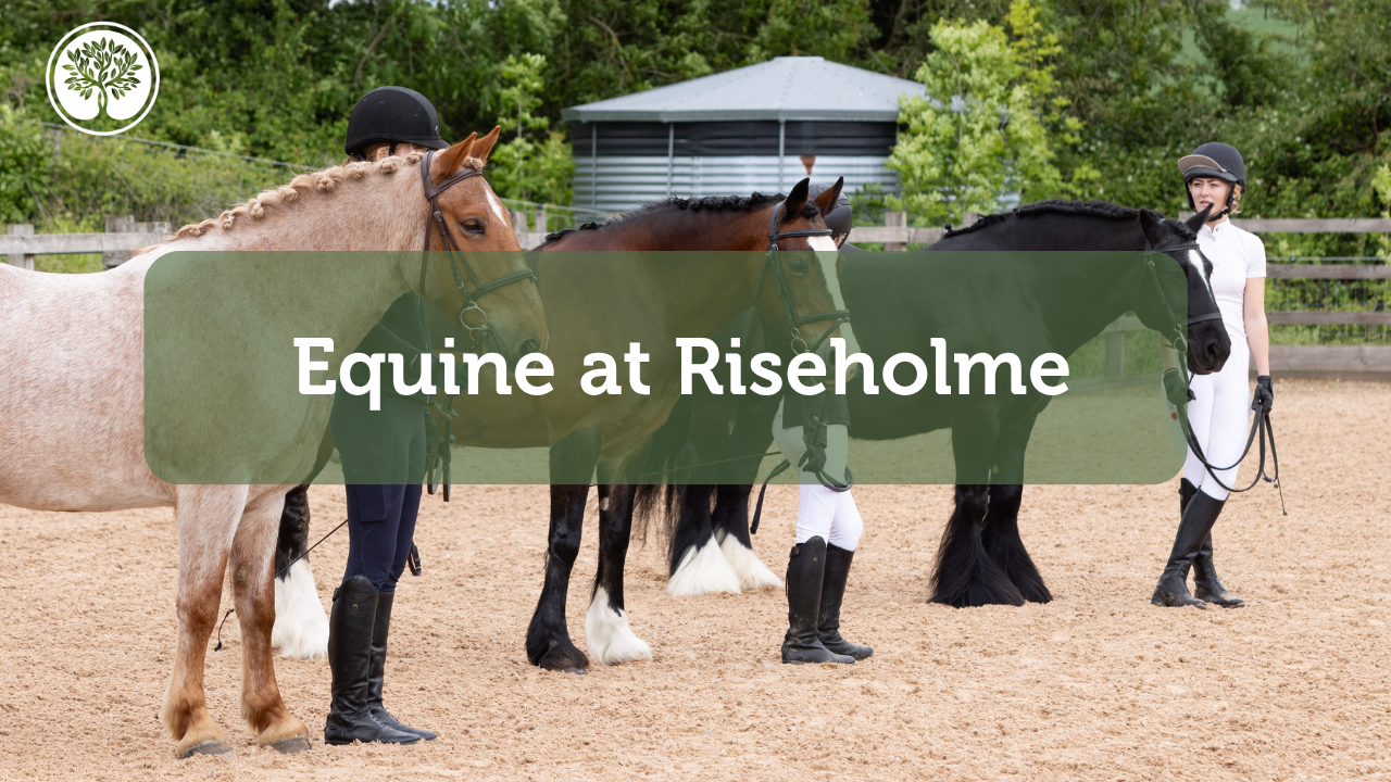 Equine RH thumbnail