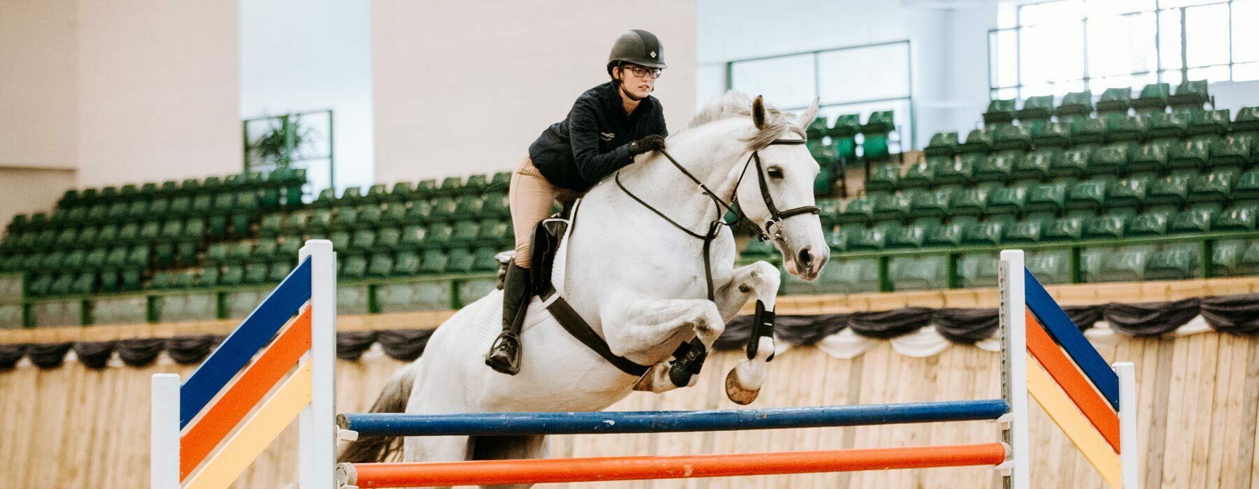 Equine academy rider showjumping indoor arena