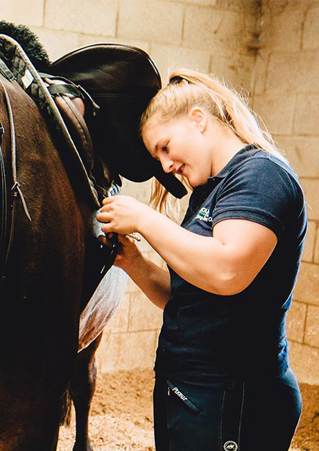 Equine apprenticeship callout