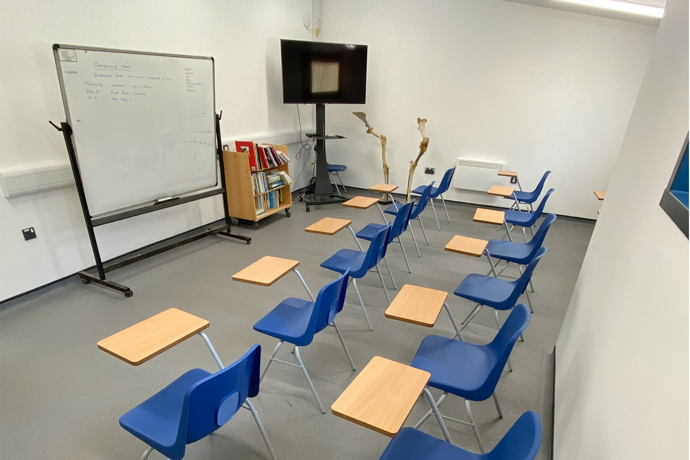 Equine classroom
