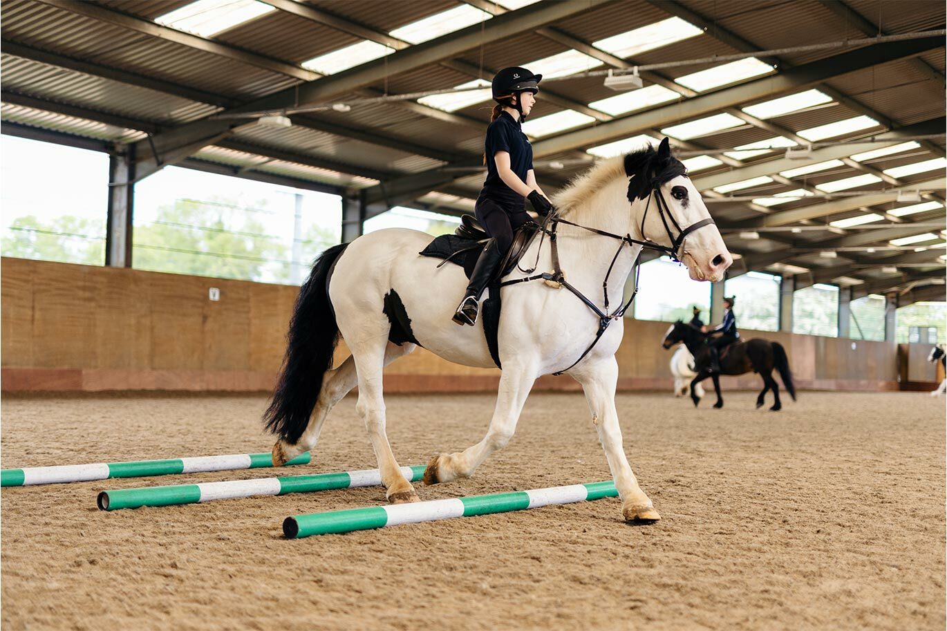 Equine students inside equine arena practing walking over poles