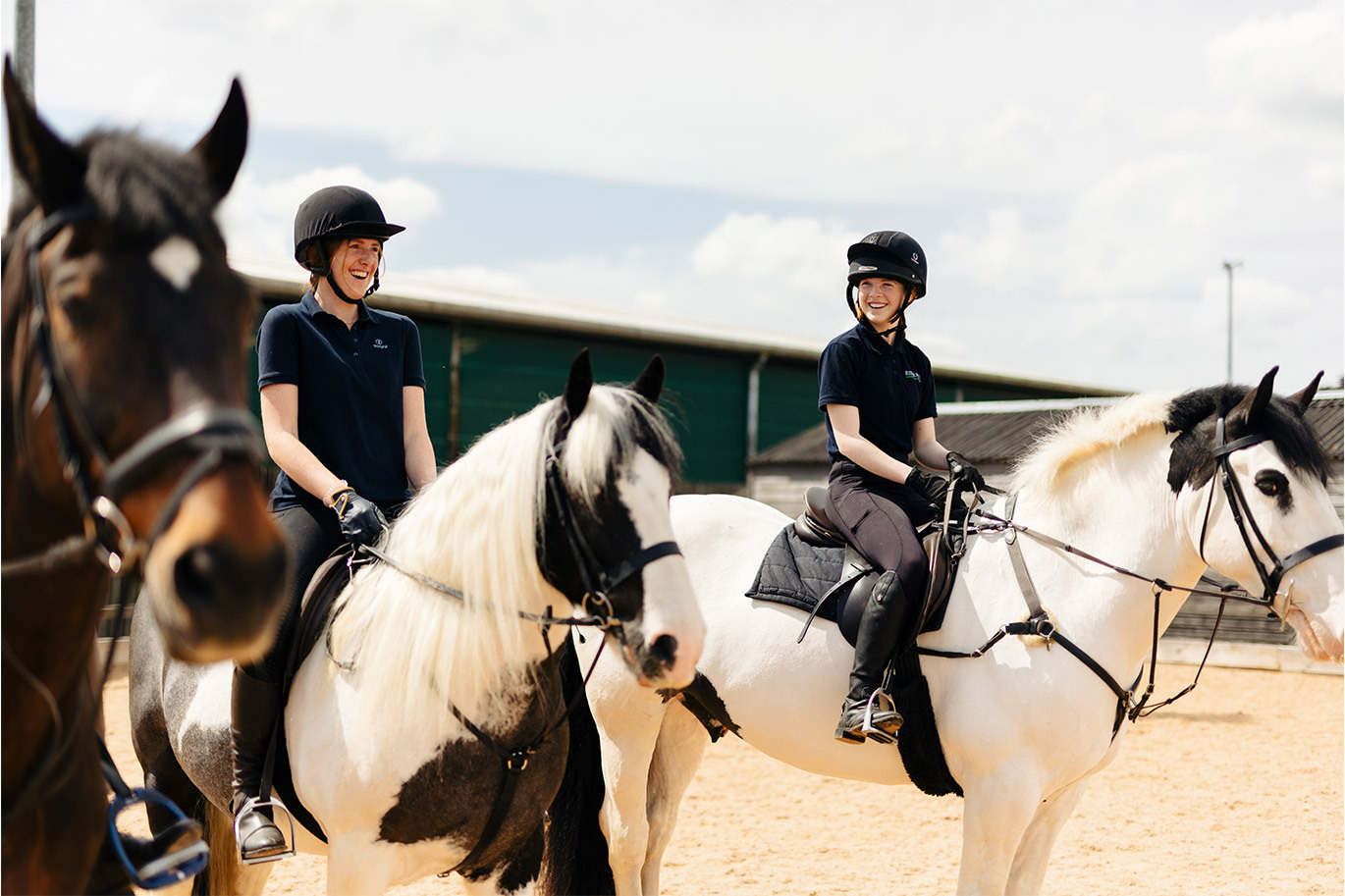 Group of equine students in a huddle