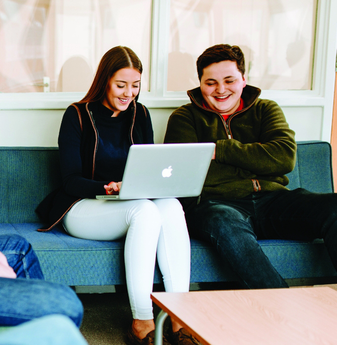 Home how to apply callout How to apply