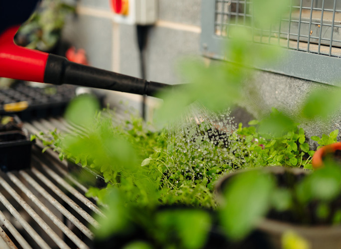 Horticulture short course callout