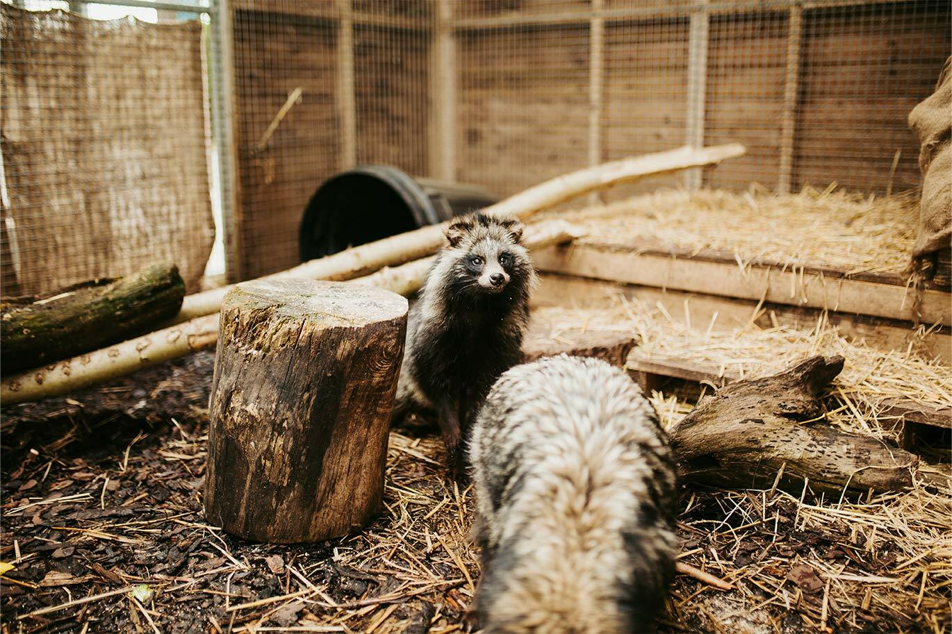 Outside Animal management unit at Riseholme College