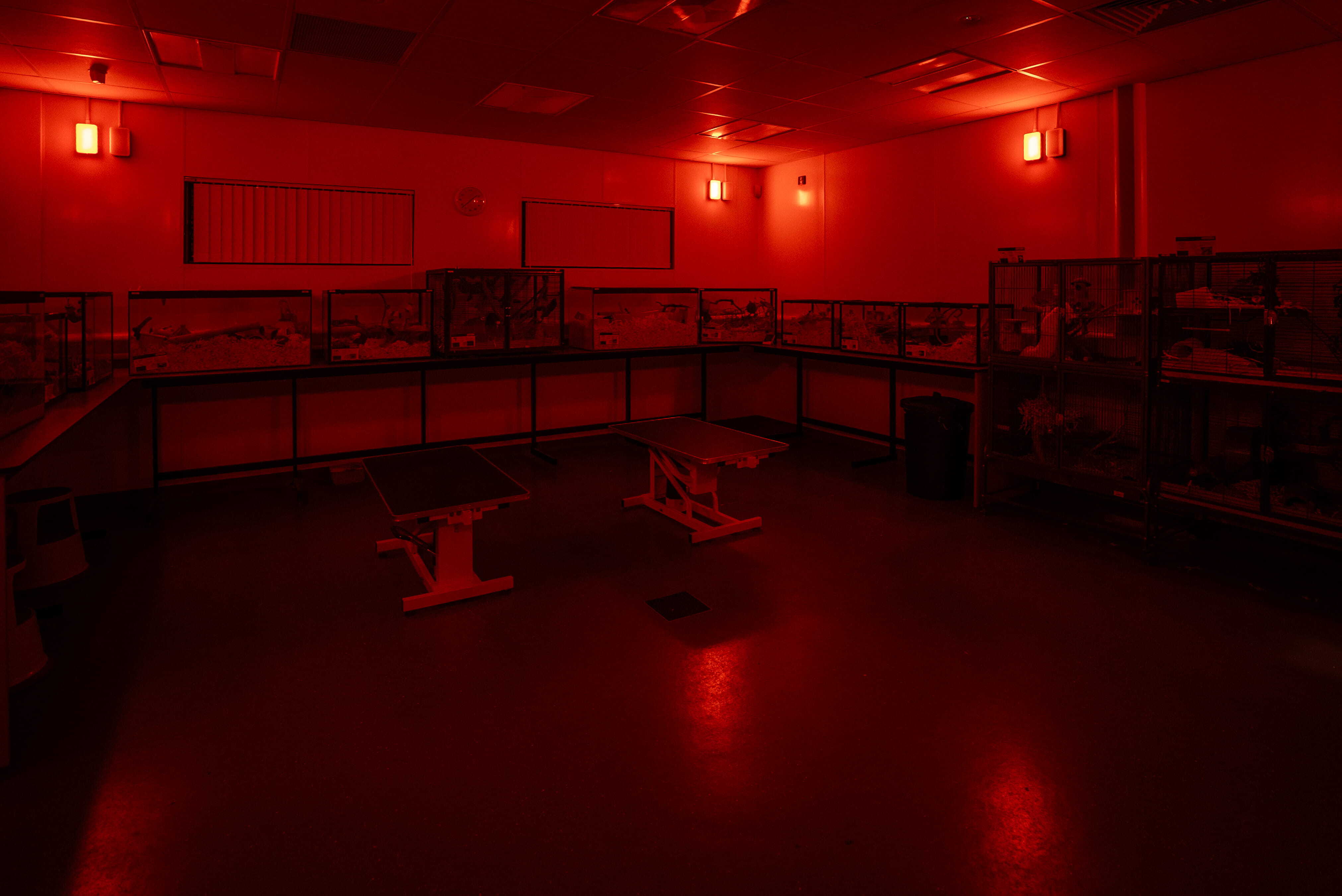RH nocturnal room