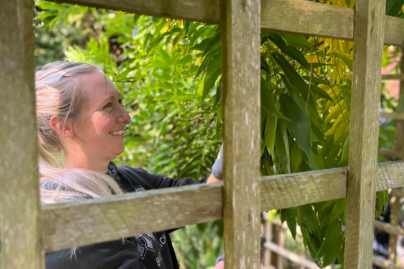 RHS student pruning plant