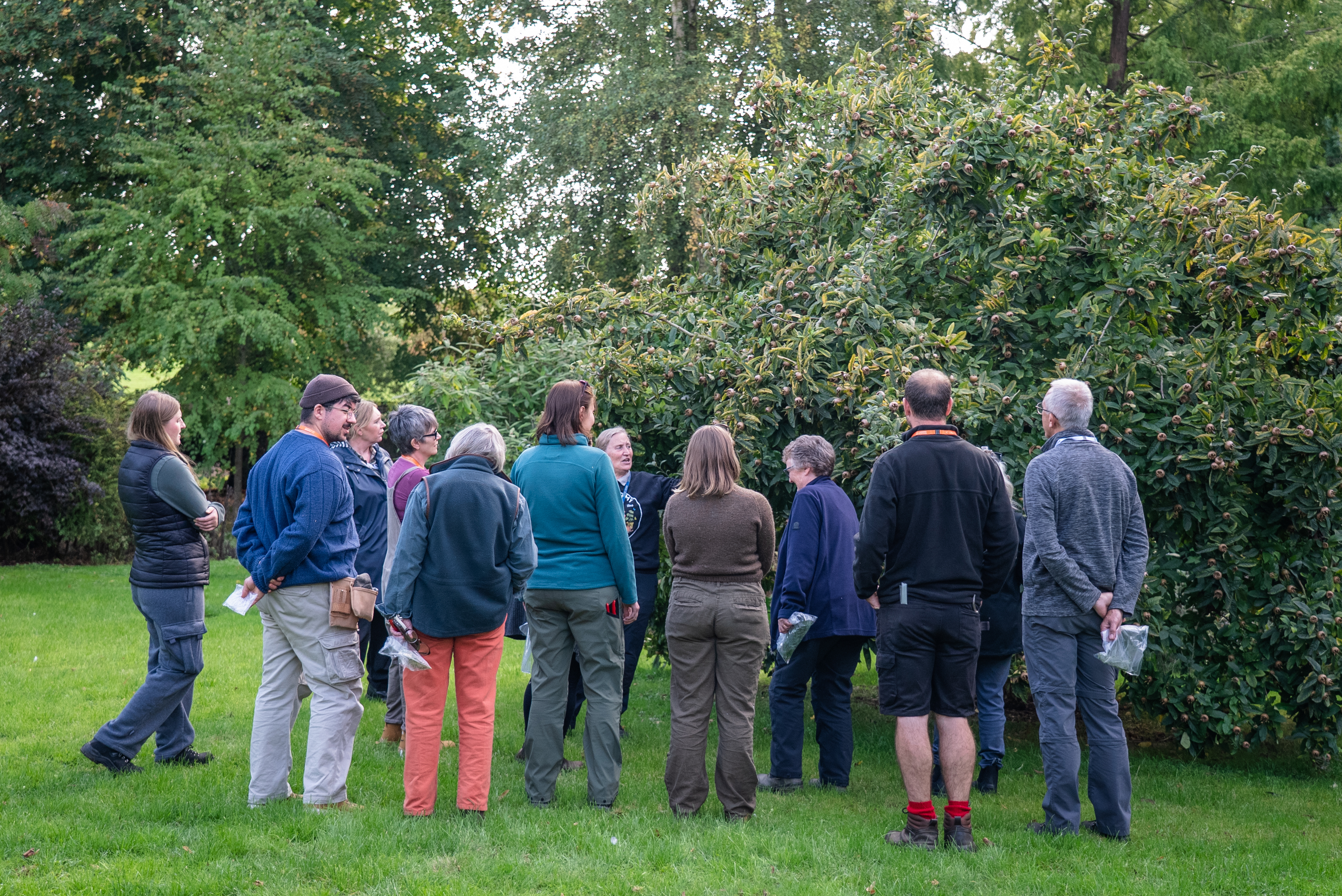 Riseholme Horticulture 11