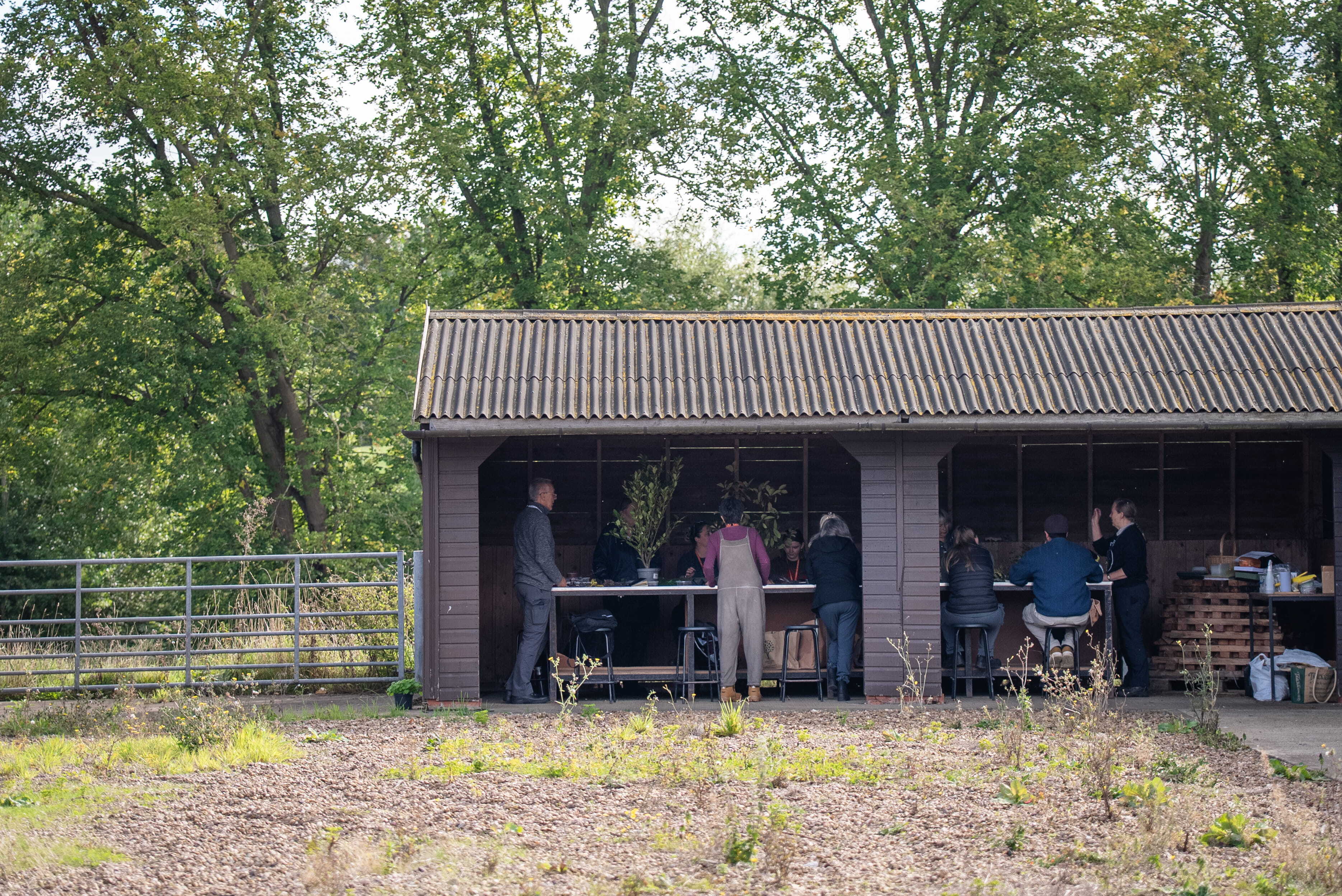 Riseholme Horticulture 26 1