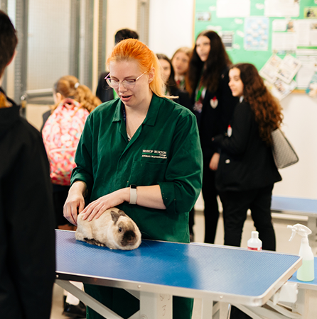 Savannah Animal Management