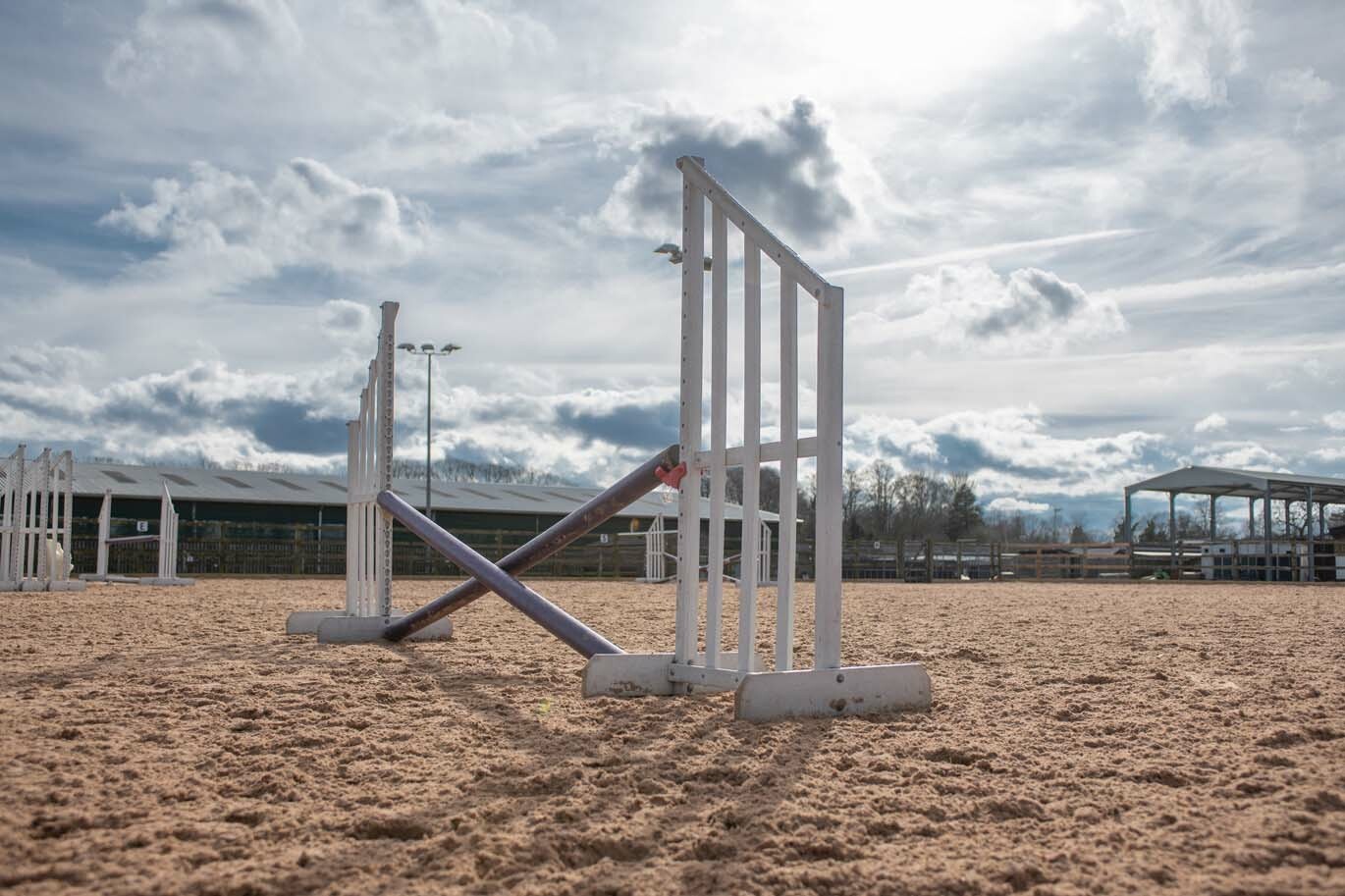 Showjumps at Riseholme Equine Centre