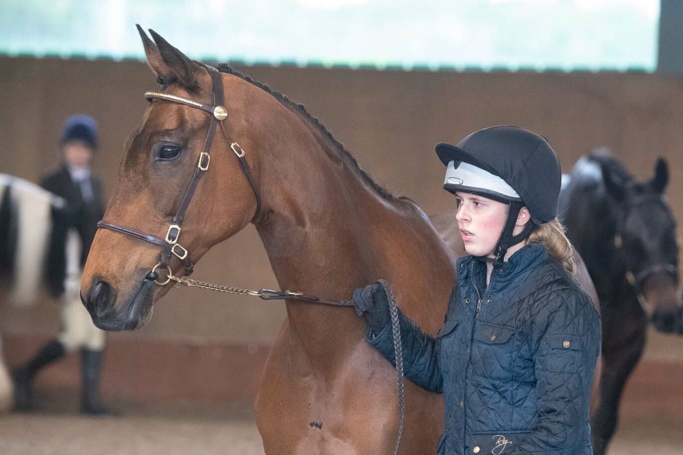 Stockmanship at Riseholme Equine Centre