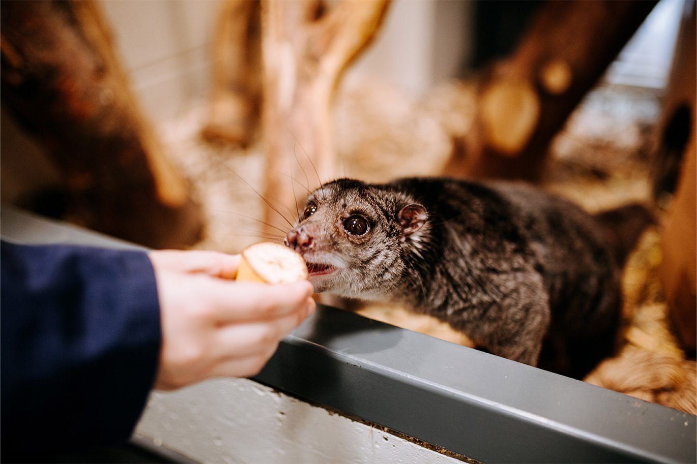 Student feeding cous cous