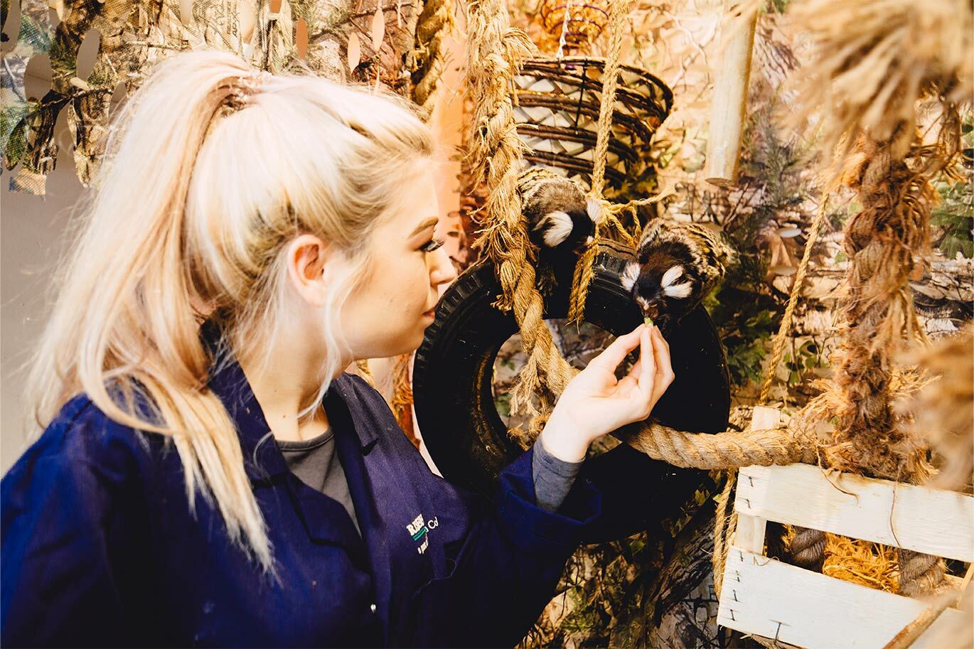 Student feeding marmosets