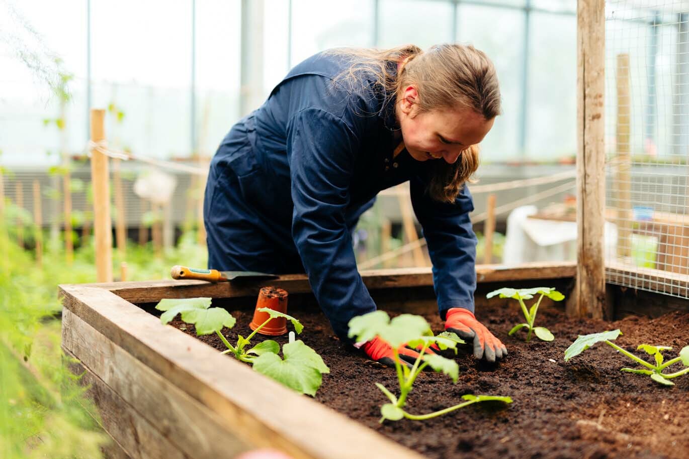 Student gardening raised bed