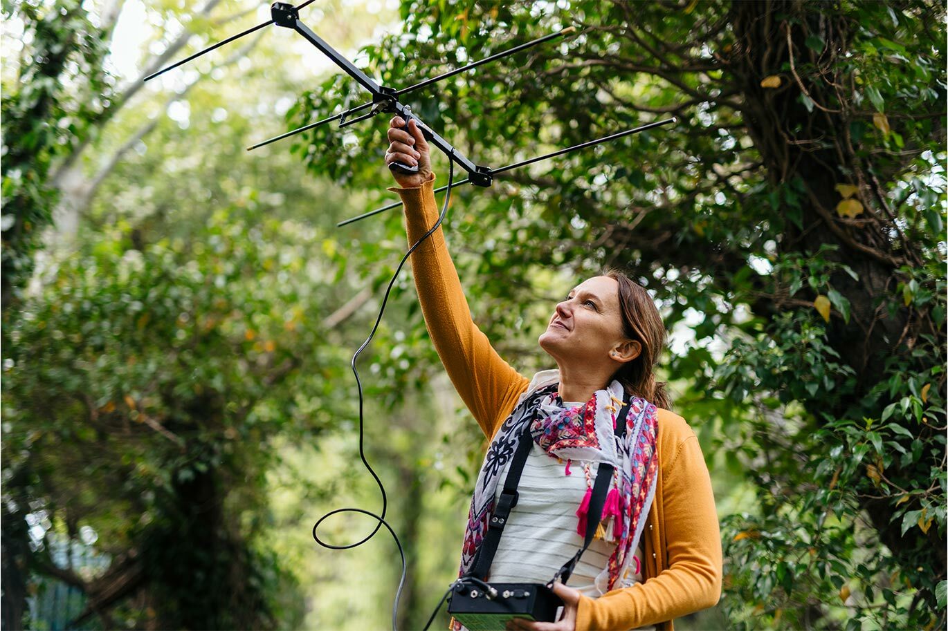 Student studing animal science using aerial