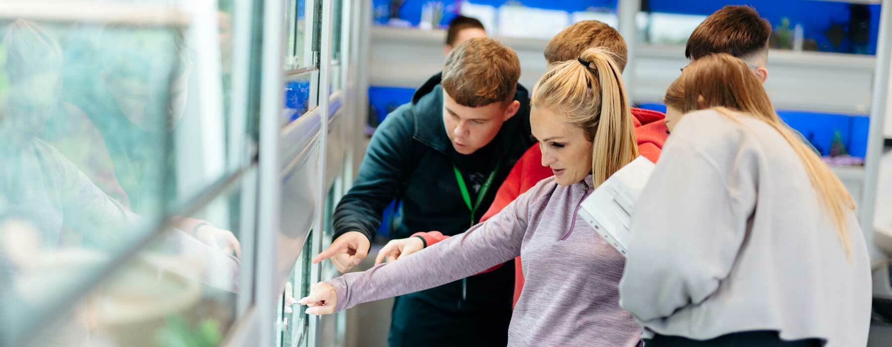 Students looking at reptile
