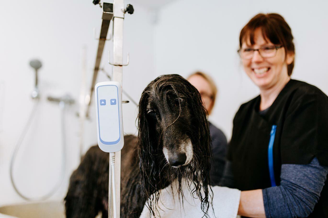 Wet dog making staff smile at Riseholme Grooming Parlour