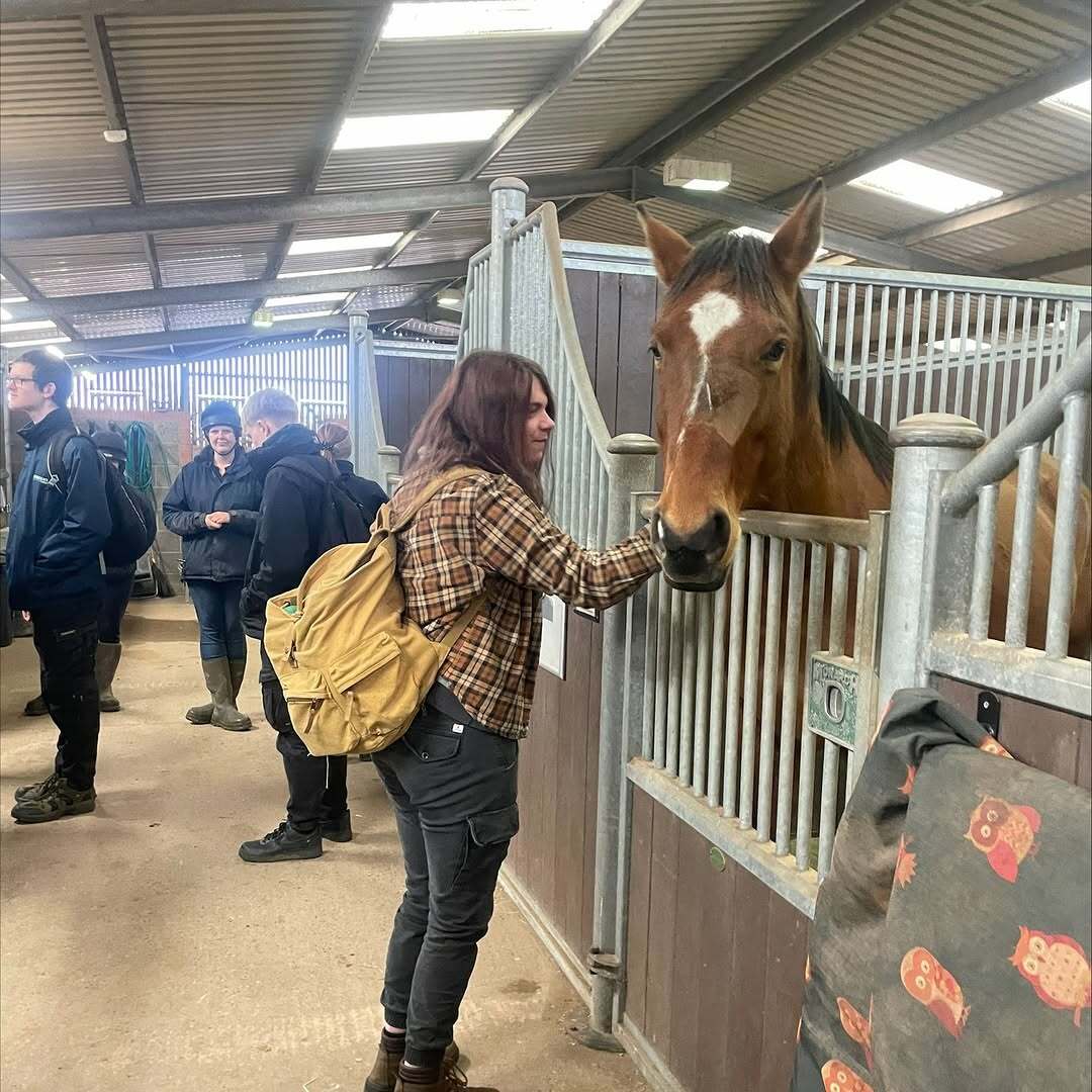 Bransby Horses 🐎
Our Animal, Equine and Health