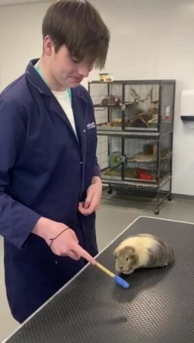Our Animal Management students have been doing a